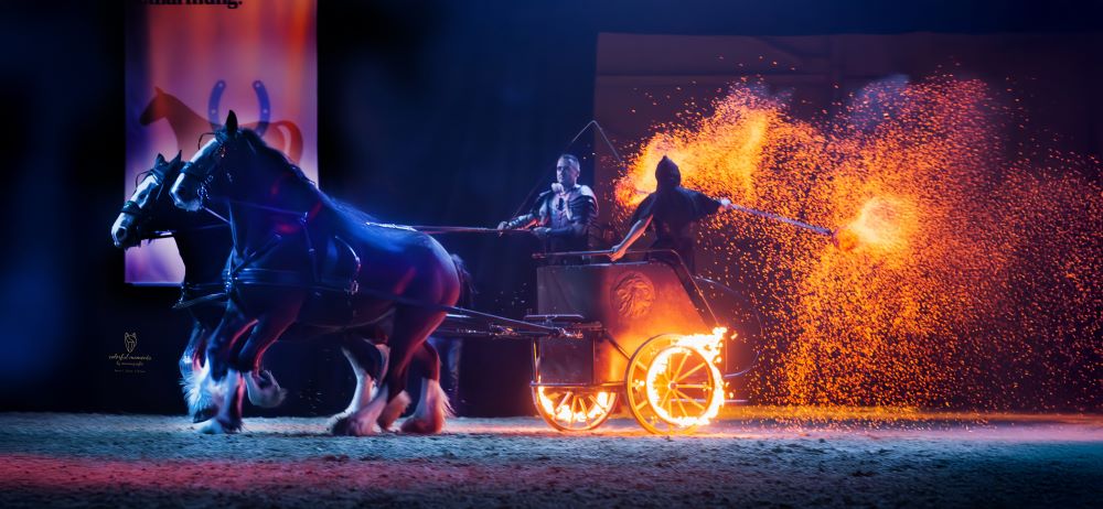 Shire Horse Streitwagen in Flammen